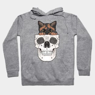 Torte Kitty & Skull Hoodie